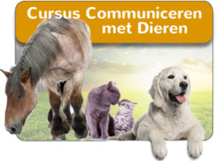 Online Cursus Communiceren met Dieren