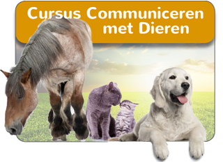 Online Cursus Communiceren met Dieren