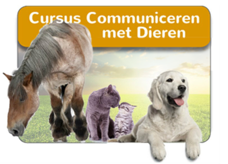 Cursus Communiceren met Dieren in een groep