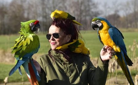 Consult Dierentolk over het Gedrag van mijn Dier plus een Reis door het Lichaam