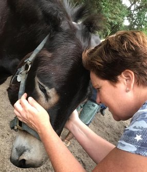 Consult Sessie Emotioneel Trauma Verwerken bij Dier