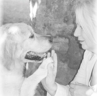 Online Cursus Communiceren met Dieren