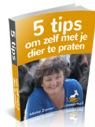 Gratis e-book 5 Tips om Zelf met je Dier te Praten