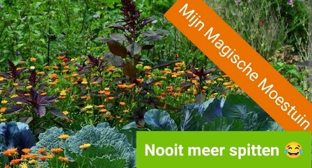 Mijn Magische Moestuin