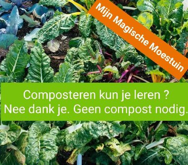 Mijn Magische Moestuin