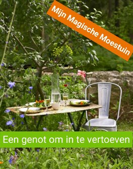 Mijn Magische Moestuin