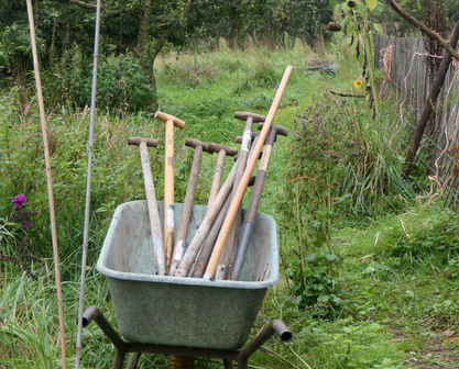 Fysieke Workshop Mijn Magische Moestuin