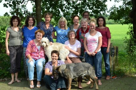 Cursus Communiceren met Dieren in een groep