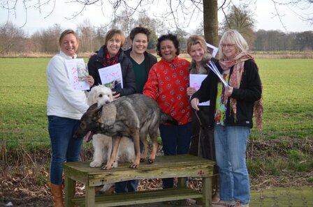 Cursus Communiceren met Dieren in een groep