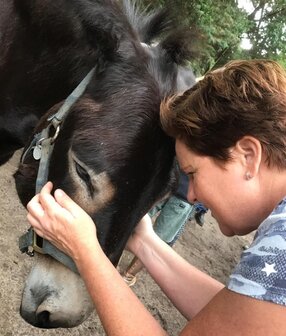 Fysiek en Emotioneel Herstel voor jou of jouw Dier