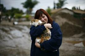 Telepathisch consult Vermissing Dier