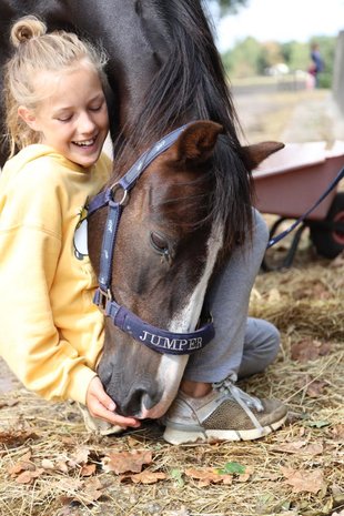 Dieren Bloesemconsult