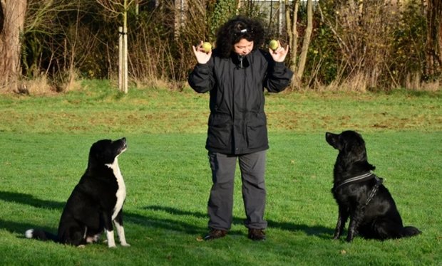 Consult Dierentolk over het Gedrag van mijn Dier plus een Reis door het Lichaam