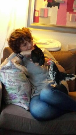Online Cursus Communiceren met Dieren