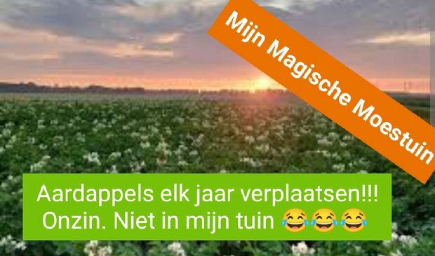 Mijn Magische Moestuin