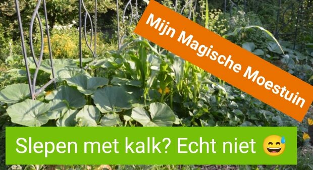 Mijn Magische Moestuin