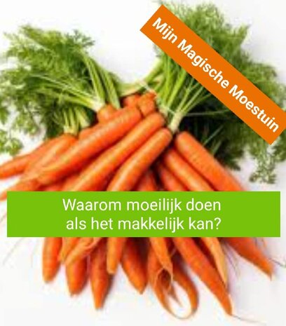 Mijn Magische Moestuin