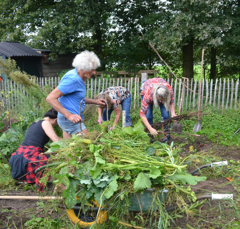 Fysieke Workshop Mijn Magische Moestuin