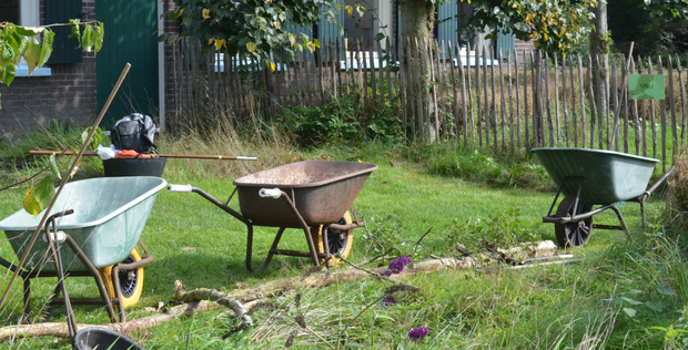 Fysieke Workshop Mijn Magische Moestuin