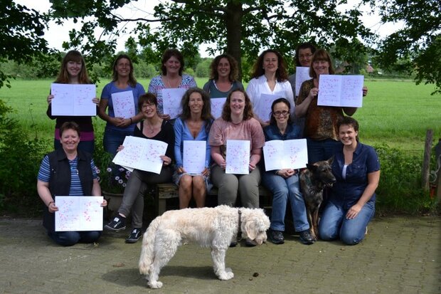 Cursus Communiceren met Dieren in een groep