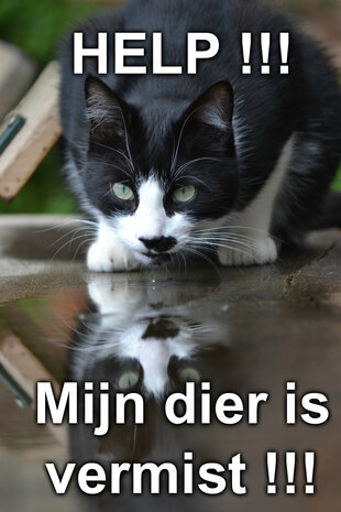 Telepathisch consult Vermissing Dier