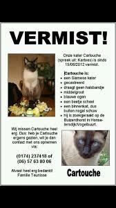 Telepathisch consult Vermissing Dier