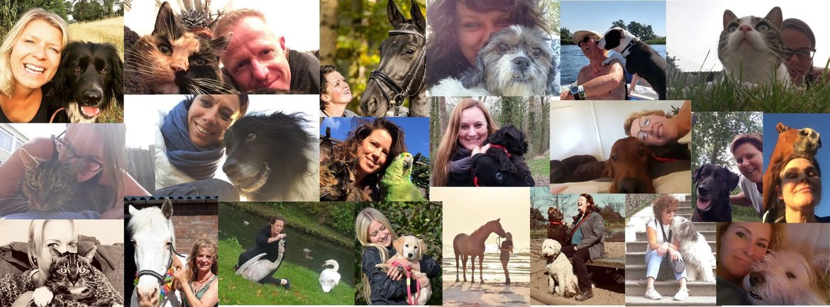 Leer zelf hoe je intens met je dier communiceert. Nooit meer een dierentolk nodig!