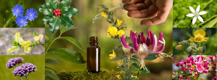 Jij of je dier niet lekker in het vel? Even een zetje nodig, terug de positiviteit in?