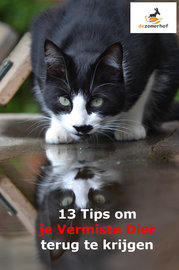 Gratis e-book 13 tips bij Diervermissingen