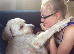 Telepathisch Consult Gedrag + Reis door het Lichaam