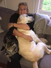 Consult Gedrag Dier plus Reis door het Lichaam plus Sessie Emotioneel Trauma Verwerken