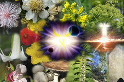 Zielsveiligheid 50 Ml