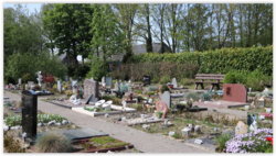 Telepathisch Consult Overleden Dier